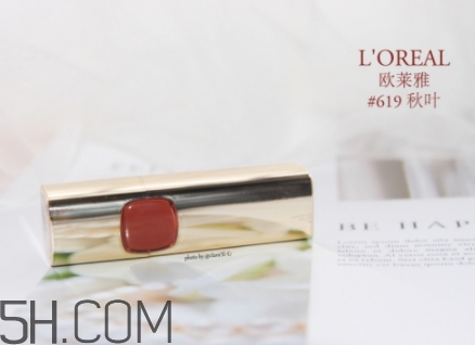 歐萊雅619和迪奧740像嗎？歐萊雅619秋葉和迪奧740對比