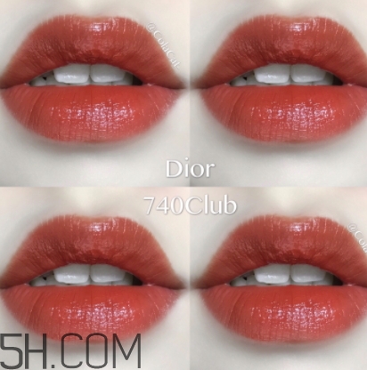 歐萊雅619和迪奧740像嗎？歐萊雅619秋葉和迪奧740對比