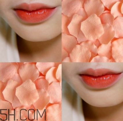 歐萊雅619和迪奧740像嗎？歐萊雅619秋葉和迪奧740對比