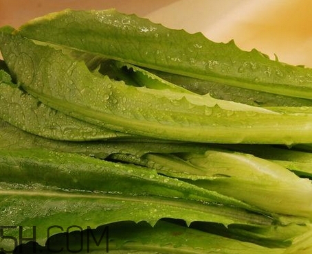 油麥菜的營養(yǎng)價(jià)值_油麥菜的功效與作用及食用方法 油麥菜的營養(yǎng)價(jià)值_油麥菜的功效與作用及食用方法