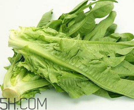 油麥菜的營養(yǎng)價(jià)值_油麥菜的功效與作用及食用方法 油麥菜的營養(yǎng)價(jià)值_油麥菜的功效與作用及食用方法