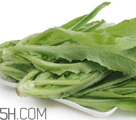 油麥菜的營養(yǎng)價(jià)值_油麥菜的功效與作用及食用方法 油麥菜的營養(yǎng)價(jià)值_油麥菜的功效與作用及食用方法