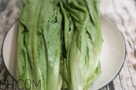 油麥菜的營養(yǎng)價(jià)值_油麥菜的功效與作用及食用方法 油麥菜的營養(yǎng)價(jià)值_油麥菜的功效與作用及食用方法