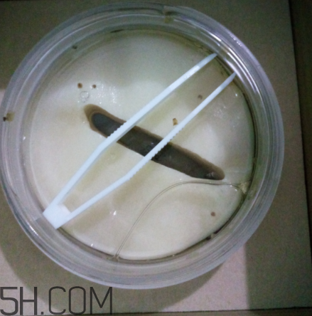 膜法世家金桂花眼膜怎么樣？膜法世家金桂花眼膜好用嗎？