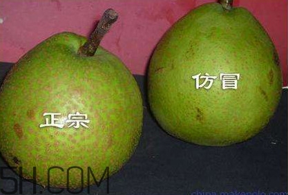 萊陽(yáng)梨幾月份才會(huì)有？正宗萊陽(yáng)梨哪里能買的到