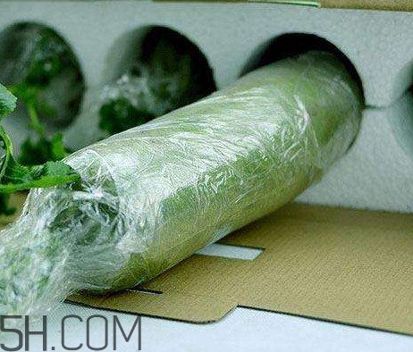 如何鑒別真假沙窩蘿卜？沙窩蘿卜怎么區(qū)分好壞