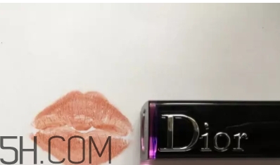 迪奧740和阿瑪尼405像嗎？dior740和阿瑪尼405試色對(duì)比