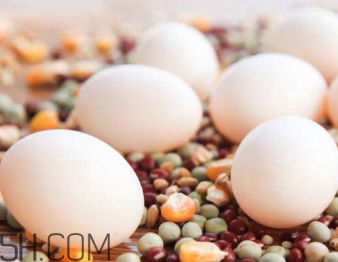 鴿子蛋黑了怎么回事 鴿子蛋變綠了怎么回事 鴿子蛋黑了怎么回事 鴿子蛋變綠了怎么回事
