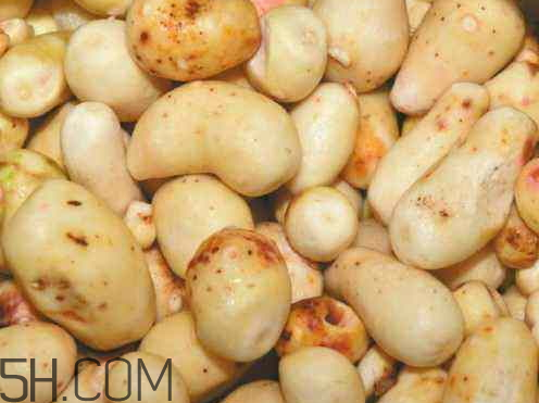 芋頭皮發(fā)綠還能吃 芋頭去皮后綠色能吃嗎 芋頭皮發(fā)綠還能吃 芋頭去皮后綠色能吃嗎