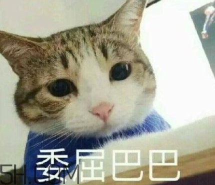 女人說失眠暗示什么？女生說失眠怎么回答