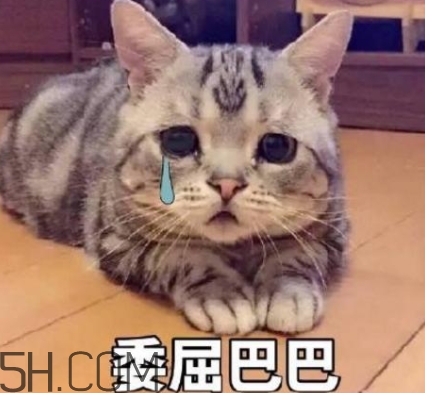 女人說失眠暗示什么？女生說失眠怎么回答