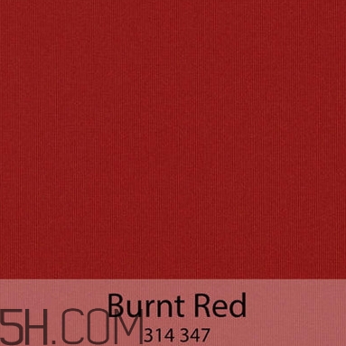 bobbi brown黑管9號試色 芭比布朗burnt red試色 bobbi brown黑管9號試色 芭比布朗burnt red試色