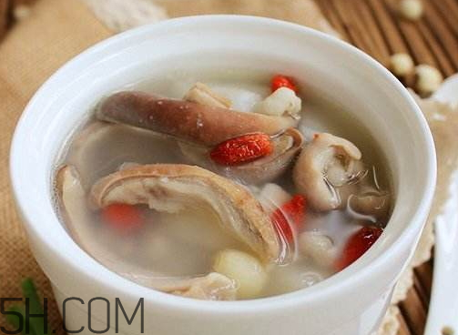 豬肚是涼性的嗎 豬肚是涼性還是熱性 豬肚是涼性的嗎 豬肚是涼性還是熱性