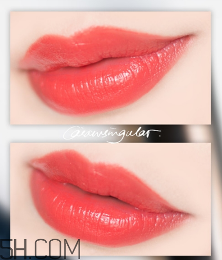 紀(jì)梵希小羊皮304是什么顏色？紀(jì)梵希小羊皮滋潤(rùn)嗎？