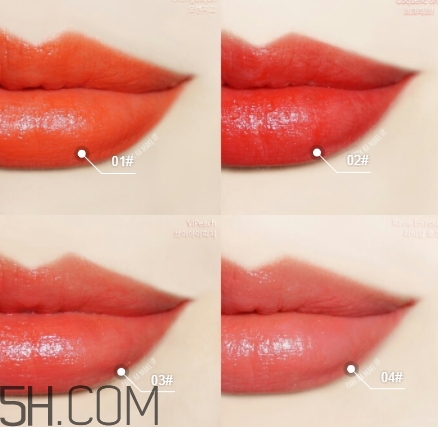 bourjois妙巴黎舒芙蕾唇釉試色 bourjois妙巴黎舒芙蕾唇釉試色