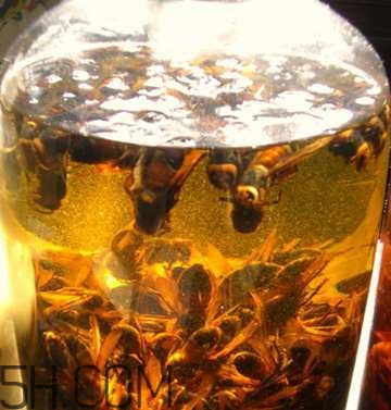 喝什么藥酒可以補(bǔ)腎壯陽(yáng)？補(bǔ)腎壯陽(yáng)藥酒什么時(shí)候喝好？