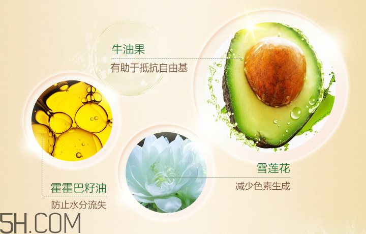 韓后乳清蛋白霜 韓后乳清蛋白霜