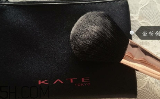 zoreya化妝刷好用嗎？zoreya是哪國的牌子