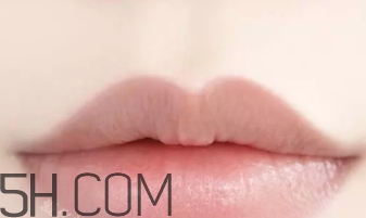 秋冬潤唇膏推薦 平價(jià)潤唇膏哪個(gè)牌子好