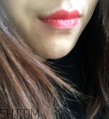 紀(jì)梵希小羊皮304是什么顏色？紀(jì)梵希小羊皮滋潤(rùn)嗎？