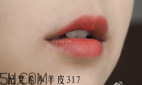 紀(jì)梵希304是西柚色嗎？紀(jì)梵希小羊皮304和317哪個(gè)好看？
