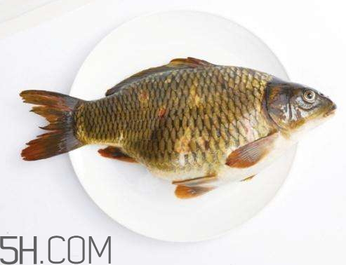 鯉魚(yú)冷凍后還能吃嗎 鯉魚(yú)放冰箱幾天能吃嗎 鯉魚(yú)冷凍后還能吃嗎 鯉魚(yú)放冰箱幾天能吃嗎