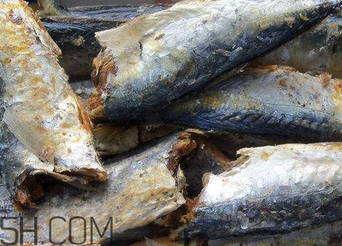 魚干長(zhǎng)毛了可以食用嗎 魚干長(zhǎng)綠毛了還能吃嗎 魚干長(zhǎng)毛了可以食用嗎 魚干長(zhǎng)綠毛了還能吃嗎