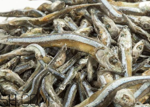 魚干長(zhǎng)毛了可以食用嗎 魚干長(zhǎng)綠毛了還能吃嗎 魚干長(zhǎng)毛了可以食用嗎 魚干長(zhǎng)綠毛了還能吃嗎