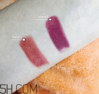 burberry口紅97和93哪個好看？burberry巴寶莉97和93對比