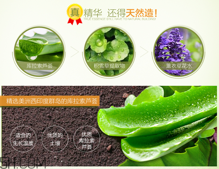 法蘭琳卡蘆薈清透補水乳液 法蘭琳卡蘆薈清透補水乳液