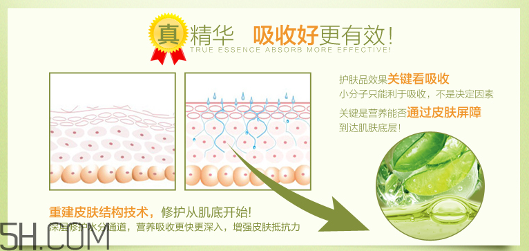 法蘭琳卡蘆薈清透補水乳液 法蘭琳卡蘆薈清透補水乳液