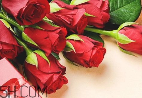 女生說so是什么意思？女生說so該怎么回答