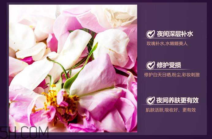 法蘭琳卡粉嫩補水睡眠面膜 法蘭琳卡粉嫩補水睡眠面膜