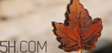 楓糖色口紅是什么顏色？楓糖色口紅試色