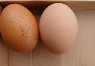 長(zhǎng)斑了的雞蛋能吃嗎？長(zhǎng)斑了的雞蛋吃了有什么危害？