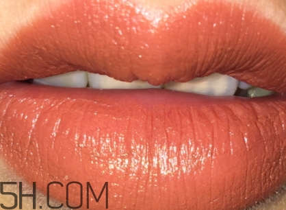 枯葉色是什么顏色？枯葉色口紅試色