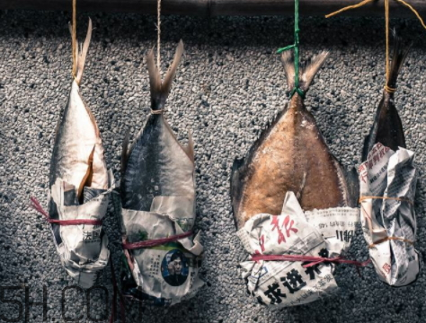 怎么曬咸魚(yú)不招蒼蠅 曬咸魚(yú)怎樣不招蒼蠅