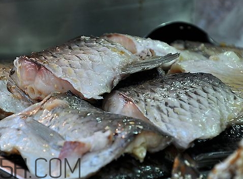 咸魚長蛆了怎么辦 咸魚長蛆了還能吃嗎 咸魚長蛆了怎么辦 咸魚長蛆了還能吃嗎