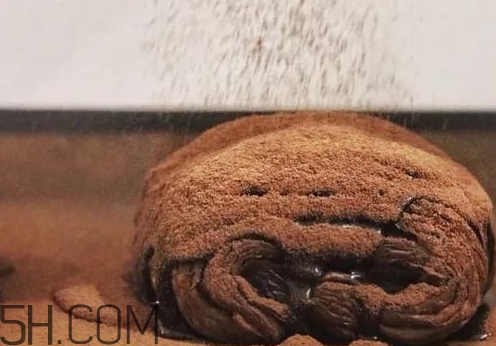 巧克力臟臟包怎么做？巧克力臟臟包的做法