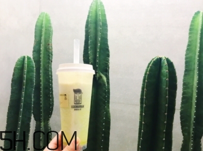 臟臟包哪里買？網(wǎng)紅巧克力臟臟包店鋪地址