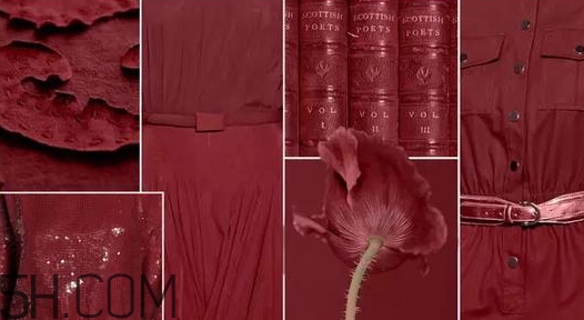 勃艮第紅口紅適合什么膚色？勃艮第色適合黃皮嗎？