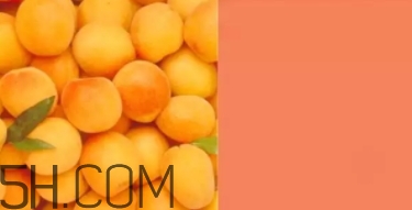 奶油杏是什么顏色？奶油杏色口紅試色