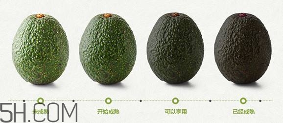 生牛油果可以放冰箱嗎？生牛油果怎么保存？