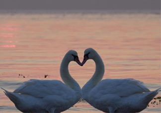 佛系前任是什么意思？佛系前任的標準和表現(xiàn)