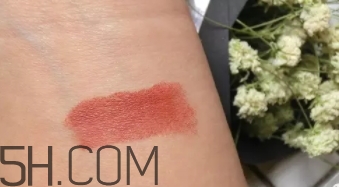 mac mocha和brick哪個(gè)好看？mac mocha和brick試色對比