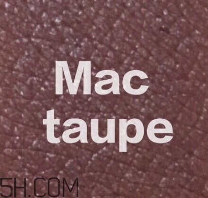 mac mocha和taupe哪個好看？mac mocha和taupe對比試色