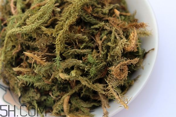 什么是伸筋草？伸筋草的功效與作用是什么？