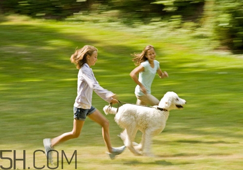 夜跑減肥的正確方法有哪些？冬天夜跑應(yīng)該怎么跑才能減肥？