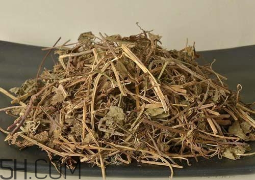 什么是透骨草？透骨草的功效與作用是什么？