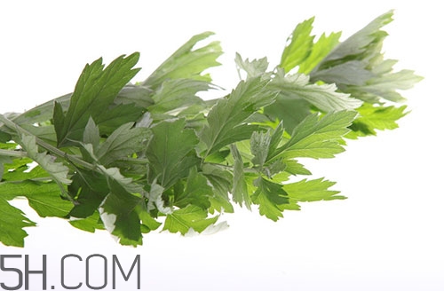 艾葉草洗澡有什么好處？怎么挑選艾葉草？